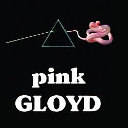 pink GLOYD