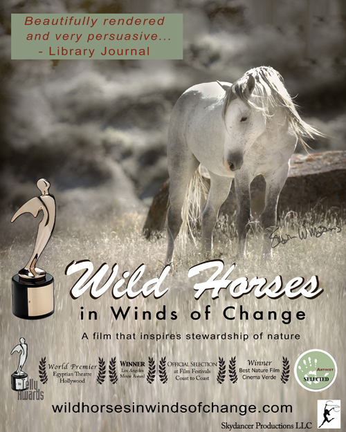 Wild Horses in Winds of Change DVD Cover